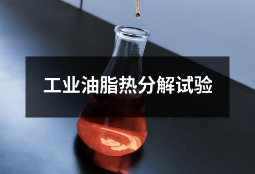 工業(yè)油脂熱分解試驗(yàn)