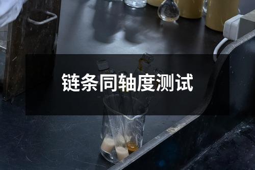 鏈條同軸度測(cè)試