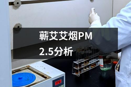 蘄艾艾煙PM2.5分析
