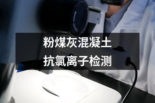 粉煤灰混凝土抗氯離子檢測