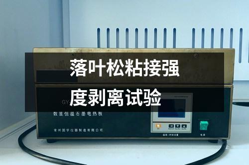 落葉松粘接強度剝離試驗