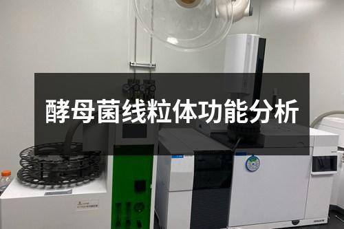 酵母菌線粒體功能分析