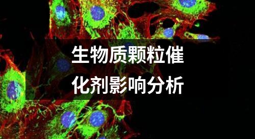 生物質顆粒催化劑影響分析