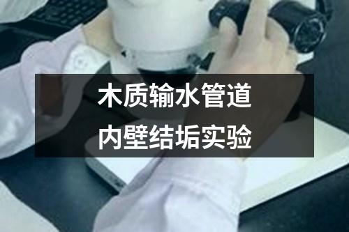 木質(zhì)輸水管道內(nèi)壁結(jié)垢實(shí)驗(yàn)