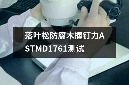 落葉松防腐木握釘力ASTMD1761測(cè)試