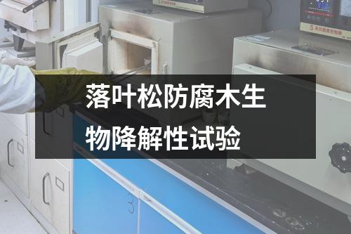 落葉松防腐木生物降解性試驗