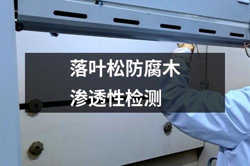 落葉松防腐木滲透性檢測
