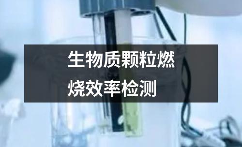 生物質(zhì)顆粒燃燒效率檢測
