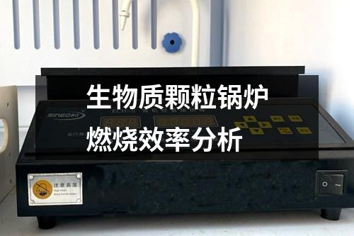 生物質(zhì)顆粒鍋爐燃燒效率分析