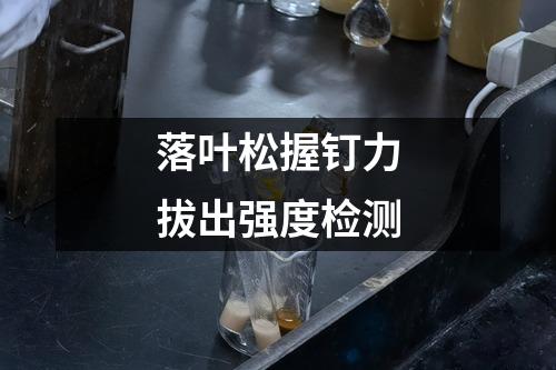 落葉松握釘力拔出強(qiáng)度檢測(cè)