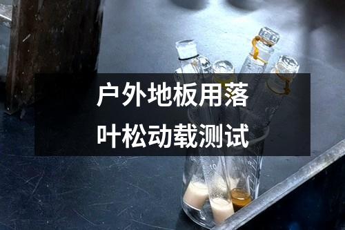 戶外地板用落葉松動載測試
