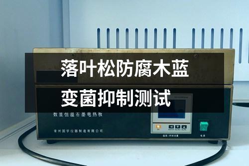 落葉松防腐木藍(lán)變菌抑制測(cè)試