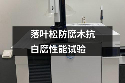 落葉松防腐木抗白腐性能試驗