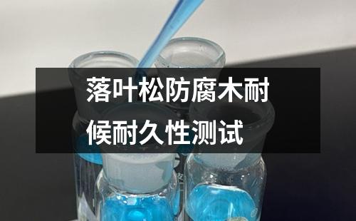 落葉松防腐木耐候耐久性測試