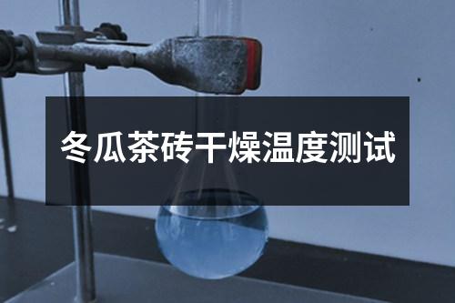 冬瓜茶磚干燥溫度測試