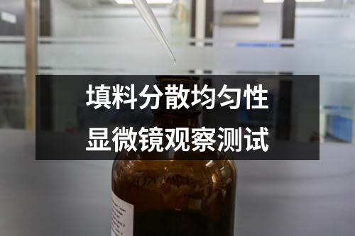 填料分散均勻性顯微鏡觀察測(cè)試