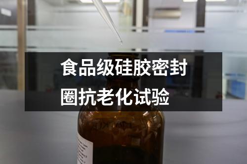 食品級(jí)硅膠密封圈抗老化試驗(yàn)