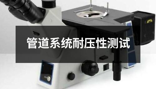 管道系統(tǒng)耐壓性測試