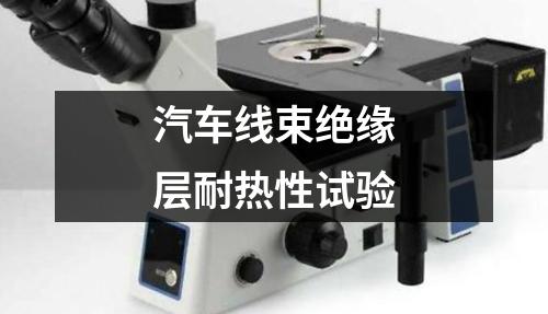 汽車線束絕緣層耐熱性試驗(yàn)