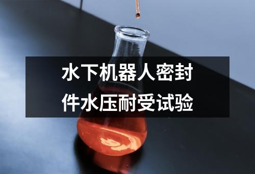 水下機(jī)器人密封件水壓耐受試驗(yàn)