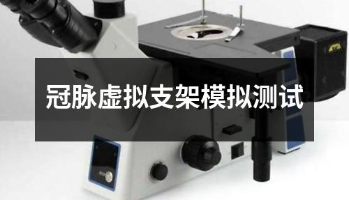冠脈虛擬支架模擬測試