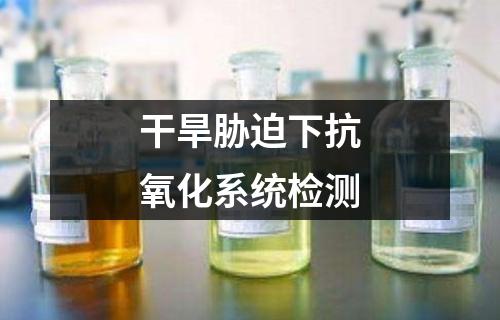 干旱脅迫下抗氧化系統(tǒng)檢測