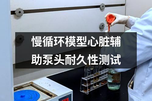 慢循環(huán)模型心臟輔助泵頭耐久性測試