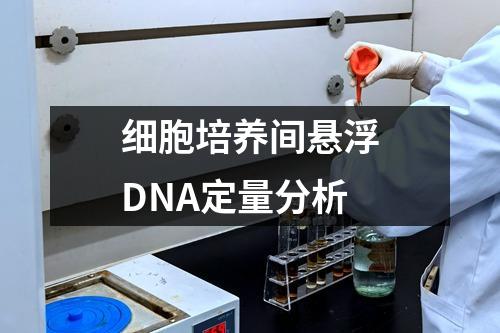 細(xì)胞培養(yǎng)間懸浮DNA定量分析