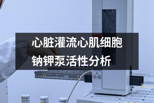 心臟灌流心肌細(xì)胞鈉鉀泵活性分析