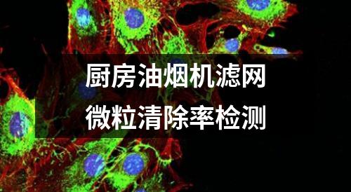 廚房油煙機(jī)濾網(wǎng)微粒清除率檢測(cè)