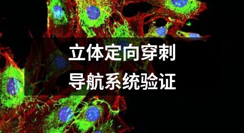 立體定向穿刺導(dǎo)航系統(tǒng)驗證