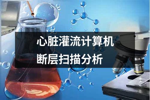 心臟灌流計算機斷層掃描分析