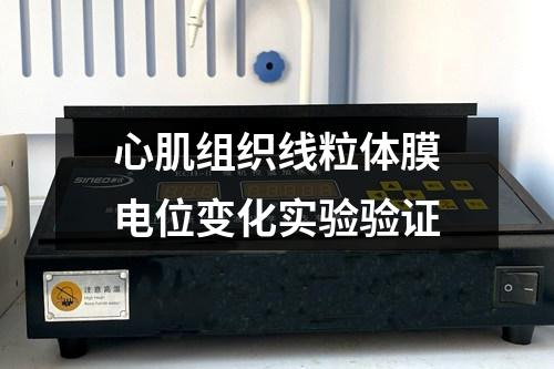 心肌組織線粒體膜電位變化實驗驗證