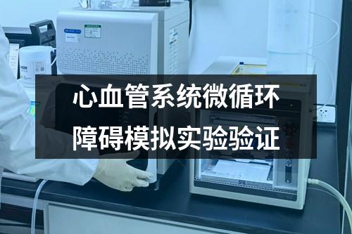 心血管系統(tǒng)微循環(huán)障礙模擬實驗驗證
