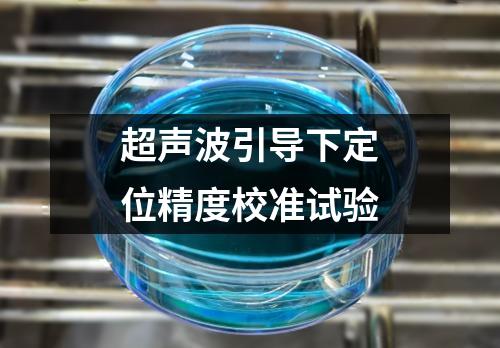 超聲波引導(dǎo)下定位精度校準試驗
