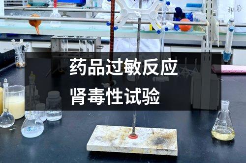 藥品過(guò)敏反應(yīng)腎毒性試驗(yàn)