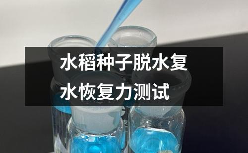 水稻種子脫水復(fù)水恢復(fù)力測試