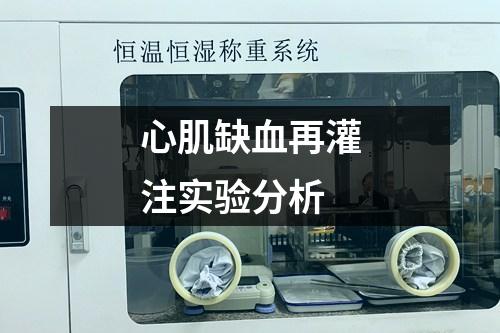 心肌缺血再灌注實驗分析