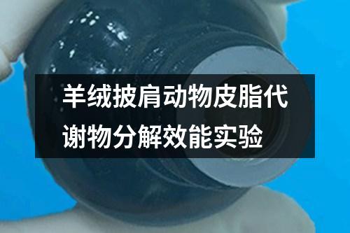 羊絨披肩動(dòng)物皮脂代謝物分解效能實(shí)驗(yàn)