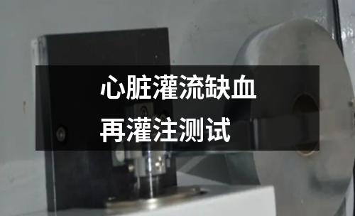 心臟灌流缺血再灌注測試