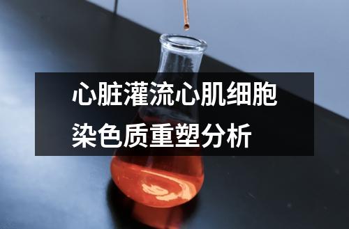 心臟灌流心肌細(xì)胞染色質(zhì)重塑分析