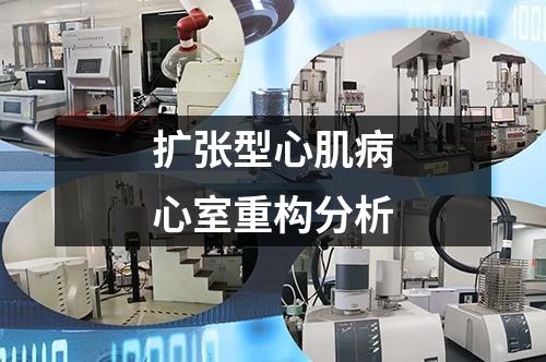 擴張型心肌病心室重構(gòu)分析