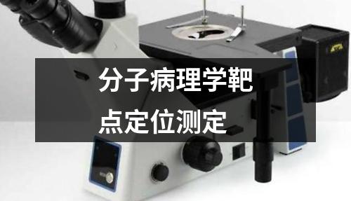 分子病理學(xué)靶點(diǎn)定位測(cè)定