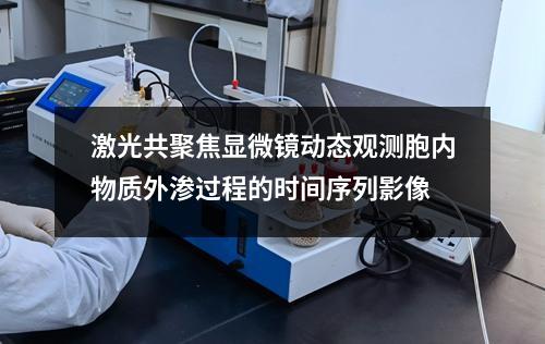 激光共聚焦顯微鏡動態(tài)觀測胞內(nèi)物質(zhì)外滲過程的時間序列影像