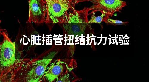 心臟插管扭結(jié)抗力試驗