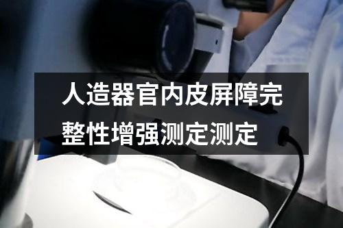 人造器官內皮屏障完整性增強測定測定