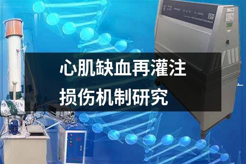心肌缺血再灌注損傷機制研究