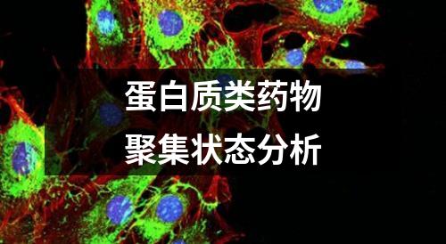 蛋白質(zhì)類藥物聚集狀態(tài)分析