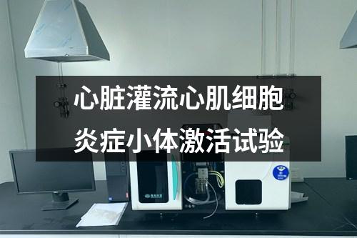 心臟灌流心肌細(xì)胞炎癥小體激活試驗