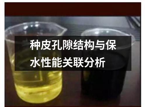 種皮孔隙結(jié)構(gòu)與保水性能關(guān)聯(lián)分析